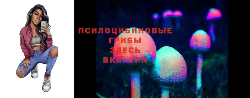 ОМГ ОМГ вход  Алексеевка  Галлюциногенные грибы Psilocybe 